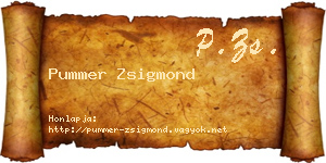 Pummer Zsigmond névjegykártya